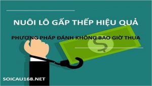 Cách đánh gấp thếp